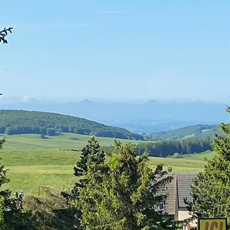 Avec Terrasse Et Piscine Proche Nature A Super-besse - Fr-1-814-52 Apartment Besse-et-Saint-Anastaise